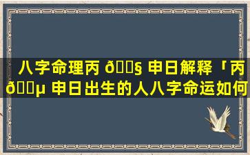 八字命理丙 🐧 申日解释「丙 🌵 申日出生的人八字命运如何」